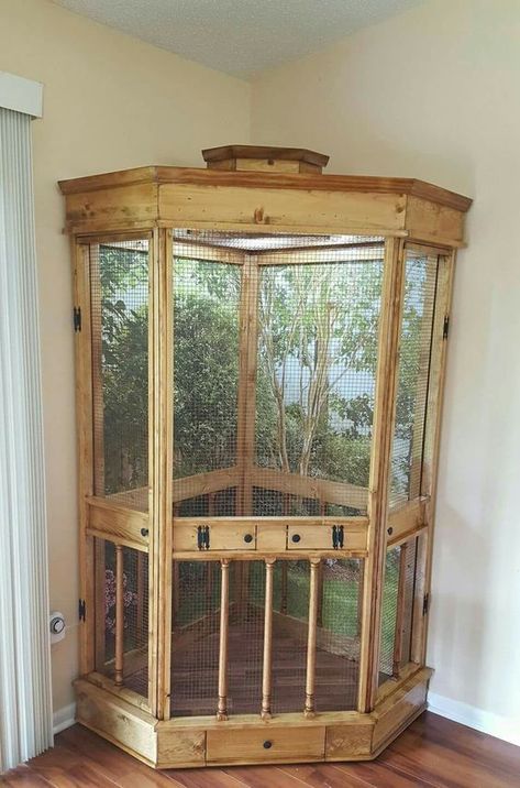 Bird Habitat Indoor, Bird Corner Ideas, Cool Bird Cages, Homemade Bird Cage, Budgie Enclosure, Bird Cage Ideas Indoor, Bird Cages Ideas, Diy Pet Cage, Bird Room Ideas