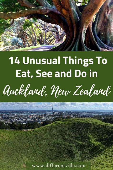 Things To Do In Auckland, Auckland Travel, Trip To New Zealand, Auckland Newzealand, New Zealand Itinerary, New Zealand Adventure, New Zealand Travel Guide, Nz Travel, Visit New Zealand