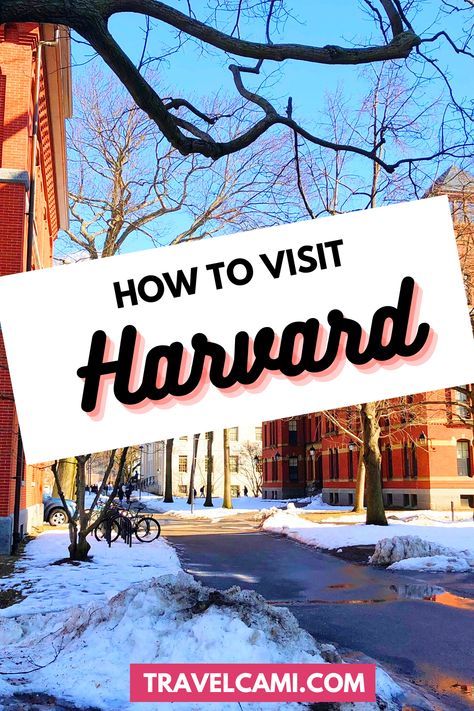 Harvard Pictures Ideas, Harvard University Pictures, Free Harvard Courses, How To Get Into Harvard, Visiting Harvard University, Harvard Referencing Guide, Harvard University Campus, Harvard Courses, Harvard Campus