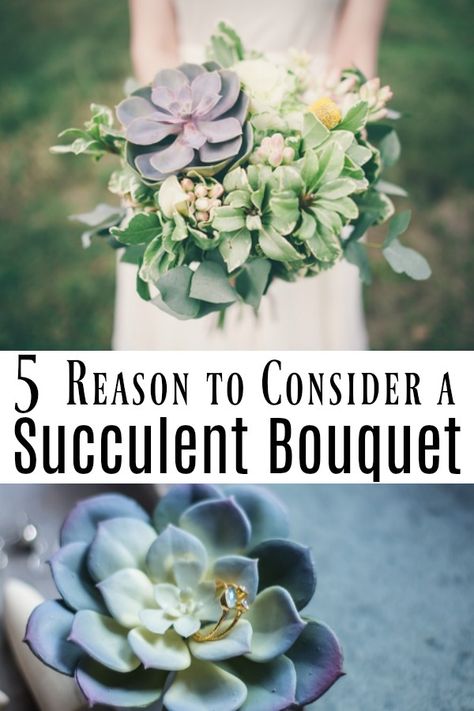 Have you ever thought about a Succulent Bridal Bouquet? They are beautiful and unique! #bridalbouquet #succulents #wedding Succulent And Fern Bouquet, Succulent Wedding Bouquet Fall, Diy Succulent Wedding Bouquet, Bridal Bouquet With Succulents, Bridal Bouquet Succulents, Succulents Wedding Centerpieces, Succulent Bridal Bouquet, Navy Blue Wedding Bouquets, Spring Wedding Flowers Bouquet