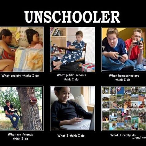 Unschoolers Unschooling Quotes, Homeschooling Quotes, Homeschool Quotes, Organized Person, Super Organized, Homeschool Inspiration, Lifelong Learning, Homeschool Learning, Homeschool Life