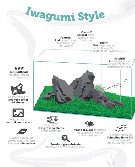 Iwagumi Aquascaping Style by TheAquariumGuide.com Tanaman Air, Fish Tank Themes, Fish Tank Terrarium, Fish Tank Design, Aquascape Design, Aquarium Terrarium, Fresh Water Fish Tank, Nano Aquarium, Diy Aquarium