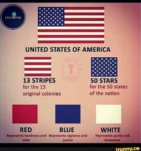 American Flag History, Flag Etiquette, Government Lessons, Teaching Government, Patriotic Quotes, Wilde Westen, History Facts Interesting, I Love America, United States Flag