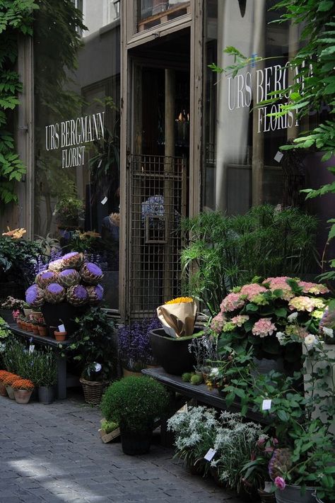 Switzerland Shopping, Flower Shop Interiors, Flower Shop Design, Lombard Street, Flower Shops, Flower Store, Florist Shop, Grow Tent, Shop Fronts