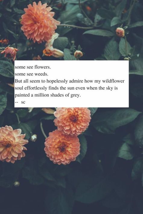 Cosmetic Injections, Wednesday Mood, Beautiful Short Quotes, Souls Quotes, Wild Flower Quotes, Long Distance Quotes, Motivational Notes, Planners And Organizers, Quotes Poetry