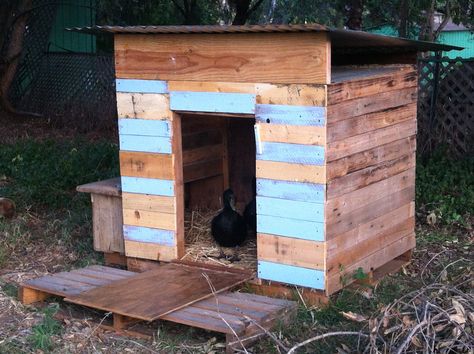 Our duck house before final paint and details. Happily made from pallets and scrap materials from other projects. Duck House Pallets, Pallet Duck House, House From Pallets, Diy Duck House, Duck House Diy, Diy Coop, Duck House Plans, Duck Houses, Muscovy Ducks