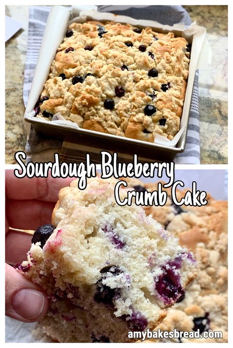 Sourdough Blueberry Breakfast Cake, Sourdough Blueberry Cobbler, Desserts With Sourdough Discard, Sourdough Discard Breakfast Recipe, Sourdough Discard Blueberry Bread, Sourdough Blueberry Muffins Recipe, Sourdough Discard Blueberry Scones, Sourdough Breakfast Cake, Sourdough Discard Blueberry Coffee Cake