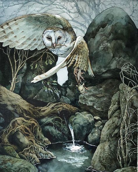 Owl Artwork Illustrations, Watercolor Fantasy Art, Era Victoria, Owl Artwork, Witch Art, Owl Art, Art And Illustration, Woodland Creatures, Fantasy Artwork