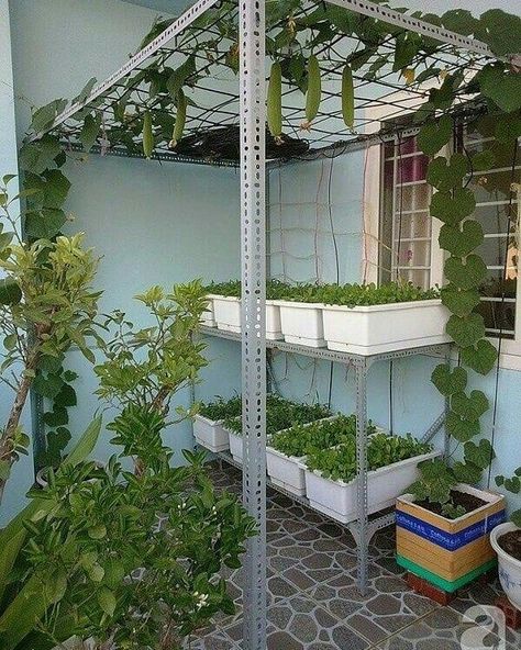 Small Trellis, Small Vegetable Gardens, Diy Trellis, Backyard Vegetable Gardens, Garden Decor Projects, Apartment Diy, Garden Area, Veg Garden, Trellis Design