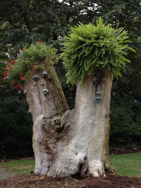 Tree Art. GW Parkway. Tree Trunk Art Projects, Fallen Tree Ideas, Playpark Ideas, Dead Tree Ideas, Garden Ideas With Tree Stumps, Tree Stumps Diy, Garden Edging Ideas Cheap, Tree Stump Ideas, Stump Ideas