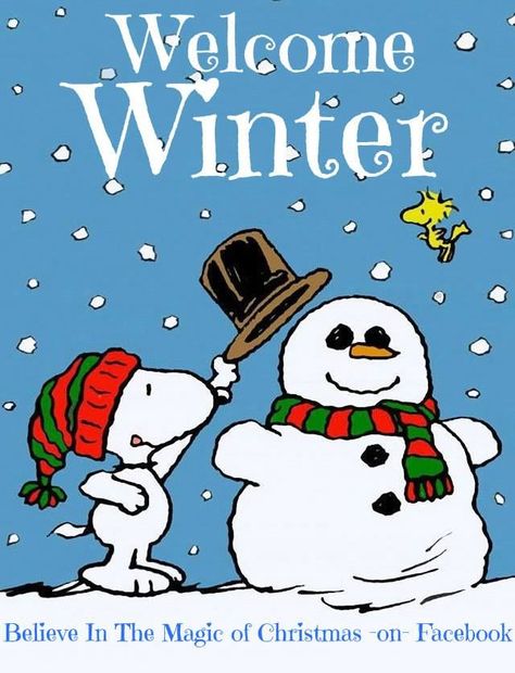 Welcome Winter winter winter quotes hello winter welcome winter Snoopy Friday, Peanuts Gang Christmas, Good Morning Sunday, Good Morning Snoopy, Snoopy Comics, First Day Of Winter, Quote Pictures, Welcome Winter, Snoopy Images