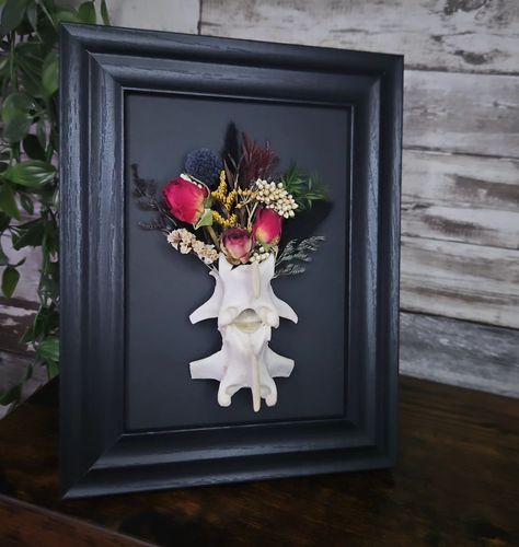 Similar piece as yesterday, part of the dark collection, yesterday's frame sold super quick and had a few requested for another so thought I'd share this one with you guys today 🖤 Sheep vertabrea floral display frame, frame is a 7x5 " #florals#gothic#sheepbones#bones#animalbones#gothichomedecor#gothicart#witchy#halloween#homedecor#darkaesthetic#darkacademiaaesthetic#vultureculture#taxidermy Skull Shadow Box, Dried Roses, Drying Roses, Taxidermy Art, Bone Art, Deer Skulls, Animal Bones, Animal Skulls, Floral Display