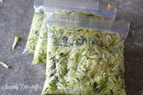 Freeze Shredded Zucchini, Can You Freeze Zucchini, Canned Zucchini, Freezing Zucchini, Freezing Vegetables, Snap Beans, Zucchini Spaghetti, Canned Food Storage, Shredded Zucchini