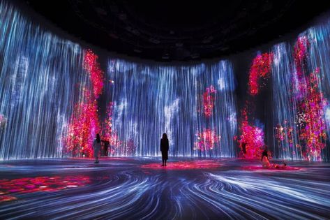 Universe of Water Particles in the Tank, Transcending Boundaries | teamLab Teamlab Borderless, Digital Art Gallery, Digital Experience, Projection Mapping, 3d Video, Interactive Art, Art Installation, Museum Of Contemporary Art, Light Installation