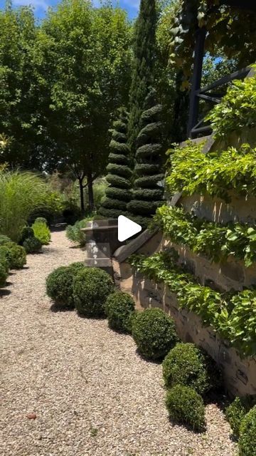 H E D G E L O V E R _ 💚💚 on Instagram: "English Box balls beneath a beautiful espaliered Manchurian pear in @brentonrobertsgardendesigns front garden. 
.
.
.
.
.
.
.
.
.
.
.
#hedgelover_ #topiarylover_ #hedgelovertours #traveltopiary #topiary #gardening #plants #nature #art #design #beauty #raybrodiecottage #brentonrobertsgardendesigns #gardendesign #buxus #cottage" Box Balls, Gardening Plants, Plants Nature, Front Garden, Hedges, Nature Art, Garden Design, Pear, Cottage