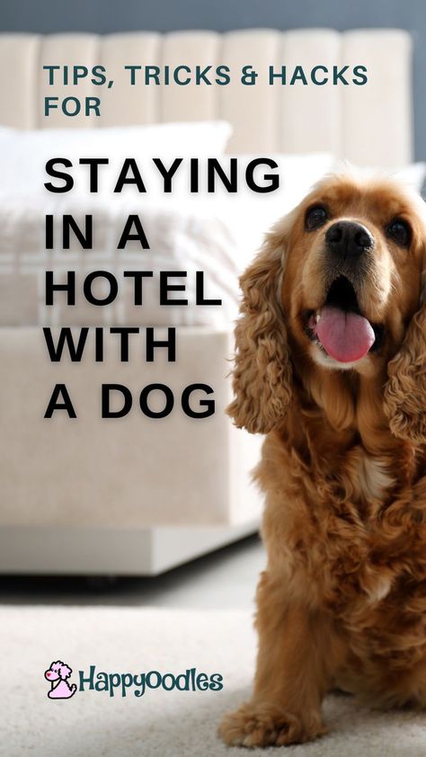 Dog Owner Tips, Natural Dog Remedies, Holistic Dog Care, Road Trip With Dog, Dog Friendly Vacation, Dog Remedies, Dog Friendly Beach, Dog Friendly Hotels, Dog Hotel