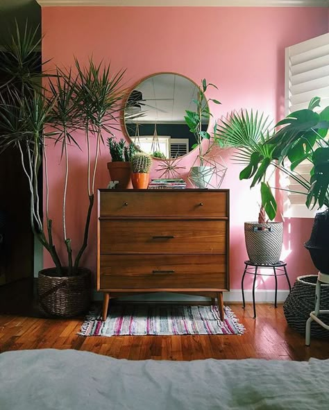 Want to get through winter with your sanity intact? PLANTS. Lots of 'em.  Thanks for the inspiring #mywestelm photo, @mcblakewich! Lots Of Plants, Retro Home Decor, Tropical Decor, Pink Walls, Retro Home, Diy Tips, Design Case, Where The Heart Is, Home Decor Inspiration