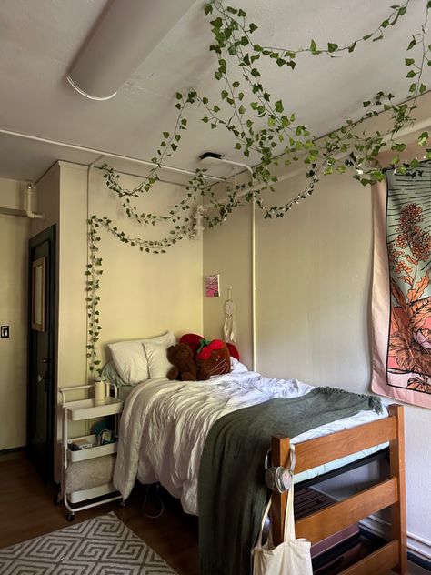 Harvard Dorm Room Aesthetic, Harvard Dorm Room, Harvard Dorm, Dorm Room Aesthetic, Mount Holyoke College, Room Aesthetic, College Dorm, House Decor, Dorm Room