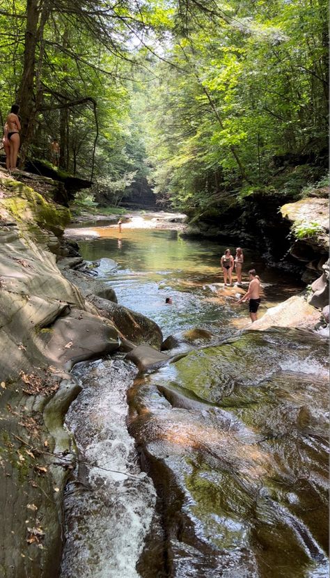 Waterfall In Forest Aesthetic, Pond In The Woods, Forrest Creek, Forest Pond, Enchanted Lake, Rock Waterfall, Swimming Pond, Small Lake, Dream Life House