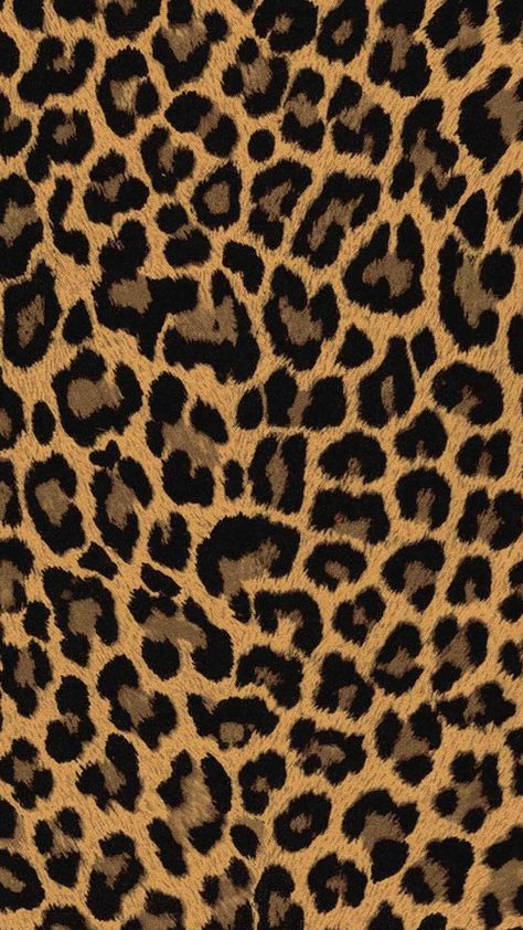 Houston Trip, Leopard Print Wallpaper, Cute Iphone Wallpaper Tumblr, Cheetah Print Wallpaper, Animal Print Background, طابع بريدي, Animal Print Wallpaper, Print Iphone, Cellphone Wallpaper Backgrounds