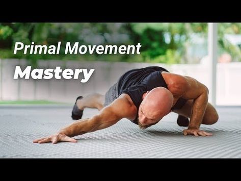 (141) 5 Exercises to Master Primal Movement - YouTube Primal Movement Exercise, Primal Movement, Animal Flow, Flexibility Workout, Handstand, Stretching, Sport Fitness, Crab, Yoga