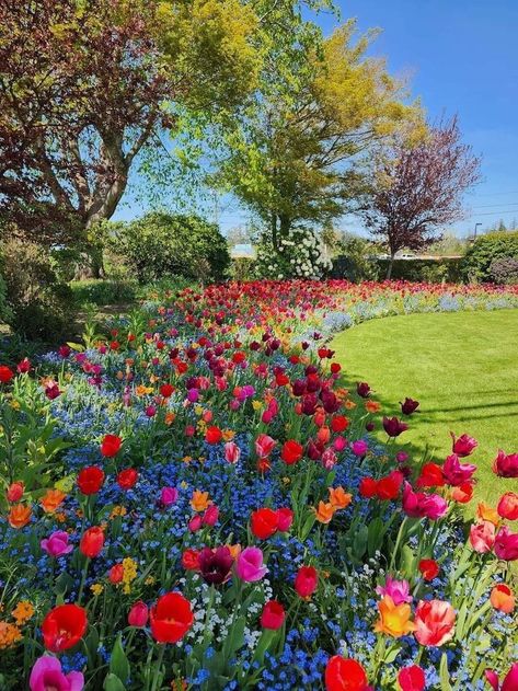 At Home Flower Garden, Flower Garden Aesthetic, Flower Garden Inspiration, Garden Full Of Flowers, Summer Flower Garden, Beautiful Gardens Flowers, Flowers Types, Pretty Flowers Photography, Flowers Farm