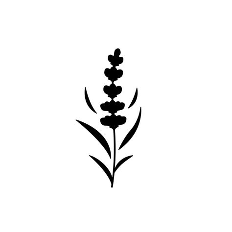 Lavender Vector Illustration, Lavender Silhouette, Lavender Icon, Lavender Illustration, Lavender Tattoo, Funky Tattoos, Plant Icon, Flower Stencil, Silhouette Stencil