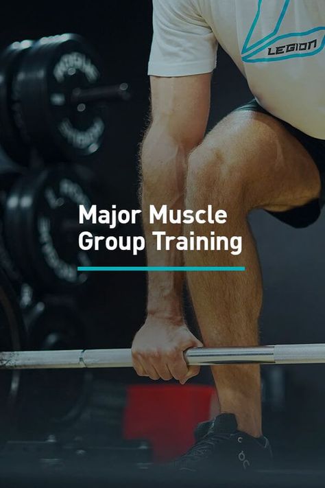 Muscle Groups To Workout, Ideal Male Body, Group Training, Abdominal Fat, Body Training, Major Muscles, Muscle Building Workouts, Big Muscles, Training Day