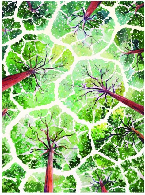 The Shyness of Trees - Marcel George Crown Shyness, Parking Spot Painting, Graphic Design Portfolio Cover, Trees Print, Tree Species, Living In London, Contemporary Watercolor, Tree Canopy, Watercolor Tree