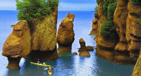 Hopewell Rocks, Bay Of Fundy, New Brunswick Canada, Sea Kayaking, Halong Bay, Canada Day, New Brunswick, Rock Formations, Canada Travel