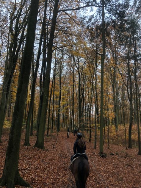 Fall Horseback Riding, Horse Riding In The Woods, Horse Riding Astethic, Equestrian Fall Aesthetic, Forest Horse Riding, Fall Horse Riding, Autumn Equestrian Aesthetic, Autumn Horse Aesthetic, Horse Riding Forest