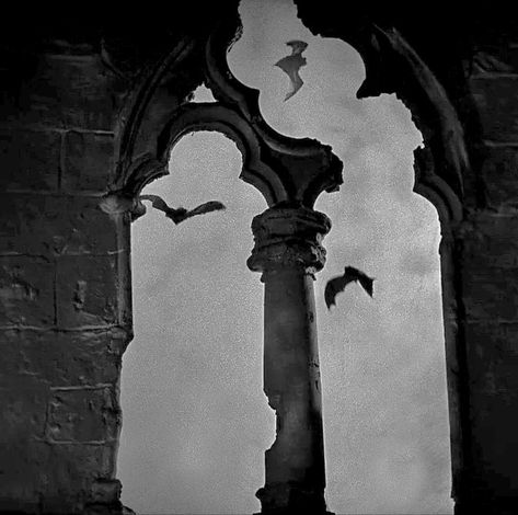 Goth Moodboard, Castle Dracula, Dracula Book, Dracula 1931, Gothic Academia, Forgotten Things, Castle Window, Infinite Void, Mavis Dracula