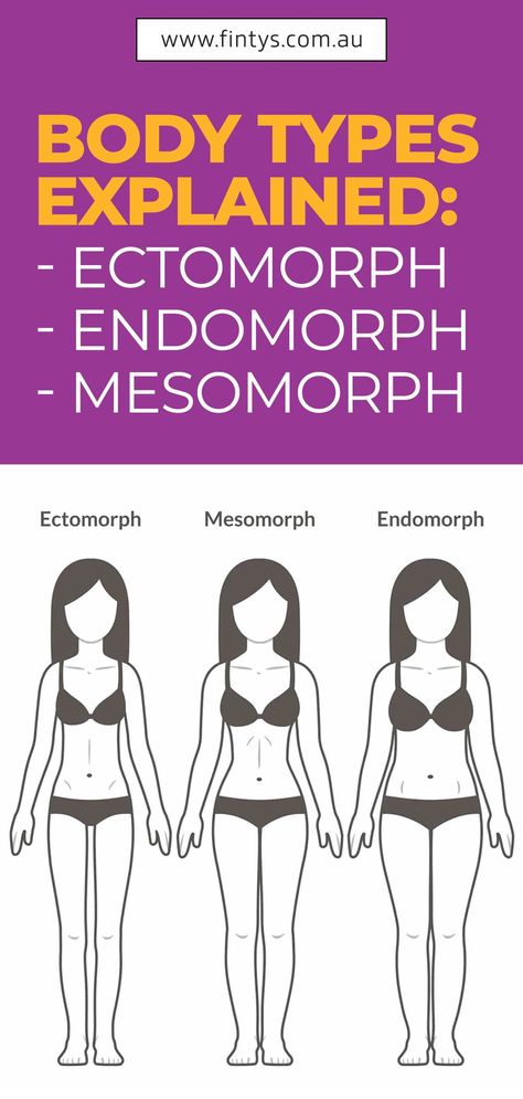 The three basic classifications of the human body according to body type and constitution- ectomorph, or the one who can hardly gain weight and muscles, endomorph, or the body type that “attracts” body fat and excess calories and lastly, the muscle, luckiest mesomorph. Read more details.. . . . #Fintys #Fitness #Athlete #WeightLoss #BodyTypesExplained #Mesomorph #HealthyLifestyle #HealthyLife #Endomorph #Ectomorph #Australia Endomorph Body Type Woman, Ectomorph Women, Endomorph Women, Mesomorph Women, Ectomorph Body, Mesomorph Body, Body Type Diet, Supermodel Body, Athletic Body Type