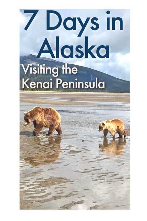 7 Day Alaska Itinerary - Road trip in the Kenai Peninsula - Love and Road Kenai Peninsula Alaska, Alaska Roadtrip, Alaskan Cruises, Alaska Itinerary, Kenai Alaska, Alaska Road Trip, Alaska Trip, Kenai Peninsula, Alaska Adventures