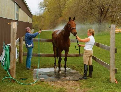 horse barns and stalls | Start by selecting a suitable location for your wash area. Most people ... Simple Horse Barns, Horse Shed, Horse Farm Ideas, Horse Barn Ideas Stables, Horse Shelter, Dream Horse Barns, Horse Barn Plans, Horse Washing, Horse Therapy