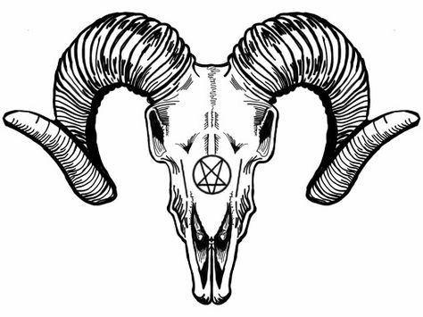 Aries ram head skull pentagram tattoo idea Pentagram Tattoo, Sheep Skull, Ram Tattoo, Goat Skull, Ram Skull, Animal Skull, Spooky Tattoos, Drawing Heads, Head Tattoos