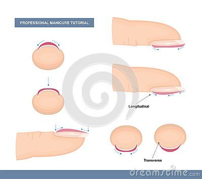 How To Paint Nails, Manicure Tutorials, Paint Nails, Nail Problems, Acrylic Nails At Home, Nail Courses, Nail Techniques, Nail Repair, School Nails