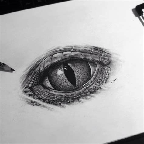 real drawings of reptiles Cobra Eyes Tattoo, Lizard Eye Tattoo, Reptile Tattoo Design, Lizard Eye Drawing, Reptile Eyes Drawing, Crocodile Eye Drawing, Crocodile Eye Tattoo, Reptile Eye Drawing, Reptile Eye Tattoo