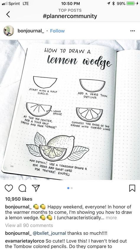 🍋Lemon wedge🍋 Lemon Wedge Tattoo, Pencil Drawings For Beginners, Flower Drawing Tutorials, Drawing Journal, Flower Art Drawing, Doodle Art Drawing, Creative Drawing Prompts, Free Script Fonts, Lemon Wedge