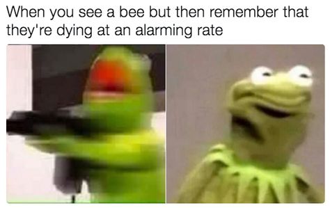 21 Jokes About Bees That Are Weirdly Really Funny Funny Kermit Memes, Best Girlfriend Ever, Couple Memes, Kermit Funny, Frog Meme, Funny Relationship Memes, Memes Lol, Girlfriend Humor, Boyfriend Memes