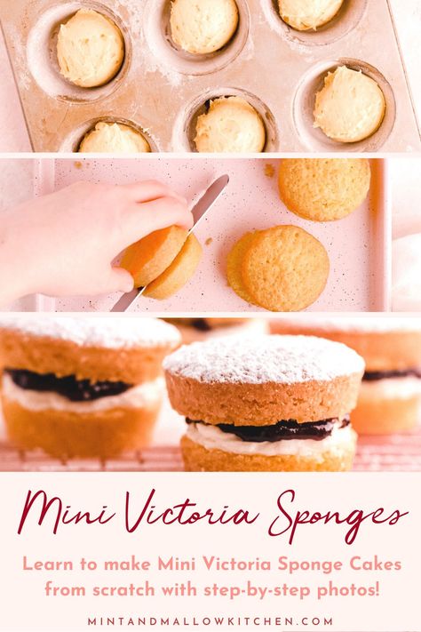 Victoria Sponge Sheet Cake, Mini Sponge Cake Recipes, English Sponge Cake Recipe, Mini Sponge Cakes, Mini Victoria Sponge Cake, Mini Victoria Sponge Cakes, Victoria Sponge Cake Recipe, Mini Victoria Sponge, Mini Pastry