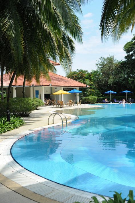 Swimming Pool. A beautiful swimming pool in five star hotel,Malaysia #Sponsored , #Ad, #Ad, #Pool, #swimming, #hotel, #beautiful Hotel Swimming Pool, Pool Swimming, Hotel Pool, Indesign Templates, Five Star Hotel, Audi Cars, Star Hotel, Top Hotels, Outdoor Swimming Pool