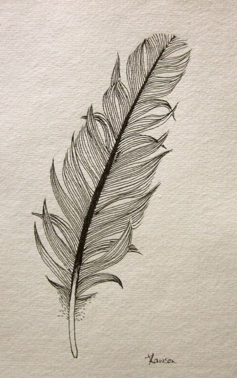 Another messy black feather original ink drawing by anne4bags Feather Drawing, Original Ink Drawing, Feather Art, Feather Tattoos, 3d Drawings, Ink Drawings, Feather Design, Black Feathers, Ink Pen Drawings