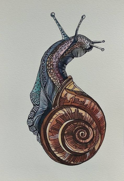 Cool Beetle Drawing, Watercolor Pen Drawing, Advanced Drawing Projects, Pen Watercolor Drawing, Snail Line Art, Color Pen Art Drawings, Snail Drawing Illustrations, Snails Drawing, Cool Line Drawings