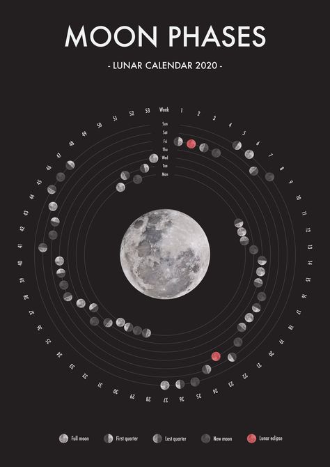 Lunar calendar 2020 Moon Mapping, Time Diagram, Portfolio Reference, Calendar Graphic, Moon Map, Space Ships Concept, Lunar Phases, Information Visualization, Space Ship Concept Art