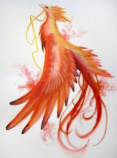 Phoenix tattoo Real Phoenix Bird, Paris Tattoos, Phoenix Bird Tattoo, Tato Phoenix, Tumblr Tattoo, Phoenix Drawing, Phoenix Bird Tattoos, Phoenix Artwork, Phönix Tattoo