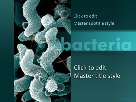 Free Bacteria PPT Template Medical Powerpoint Templates, Medical Powerpoint, Background Ppt, The Professor, Business Event, Powerpoint Template Free, Free Medical, Ppt Template, Baby Vest