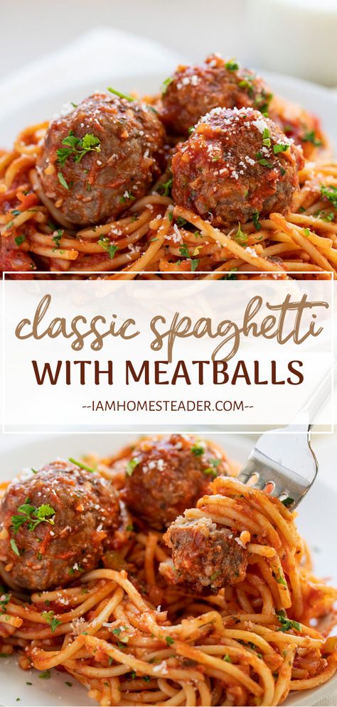 Spaghetti with Meatballs is always a winner! This classic recipe of one of the most popular pasta dishes highlights homemade all-beef meatballs and marinara sauce you can easily make on your own. Impress everyone with this simple yet delicious meal! Pin this for later! Spagetti And Meatball Recipe, Spaghetti With Meatballs, Spaghetti Meatball Recipes, Best Spaghetti, Easy Spaghetti, Meatball Recipes Easy, Homemade Spaghetti, Beef Meatballs, Homemade Meatballs