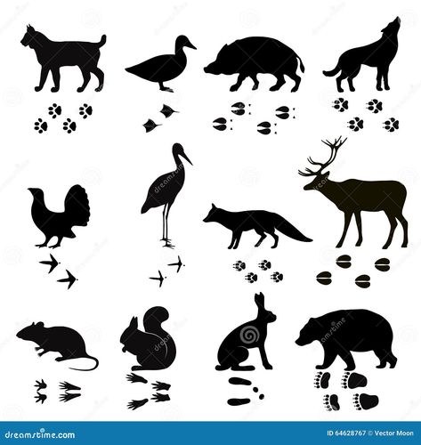 Wild animals vector paw footsteps black silhouette. Illustration about icon, deer, pattern, print, rodents, mouse, hunt, black, foot, animal, squirrel, pheasant, footprint - 64628767 Mouse Footprint, Deer Footprint, Paw Illustration, Wild Animals Vector, Mouse Hunt, Deer Pattern, Silhouette Illustration, Black Silhouette, Rodents