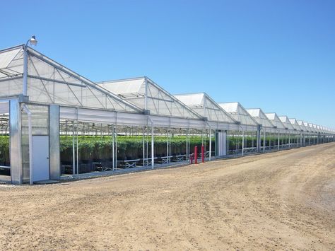 http://www.agratech.com/gallery-commercial-greenhouse-manufacturer.html Homemade Greenhouse, Cheap Greenhouse, Vertical Farm, Commercial Greenhouse, Dome Greenhouse, Best Greenhouse, Insect Netting, Indoor Greenhouse, Greenhouse Interiors